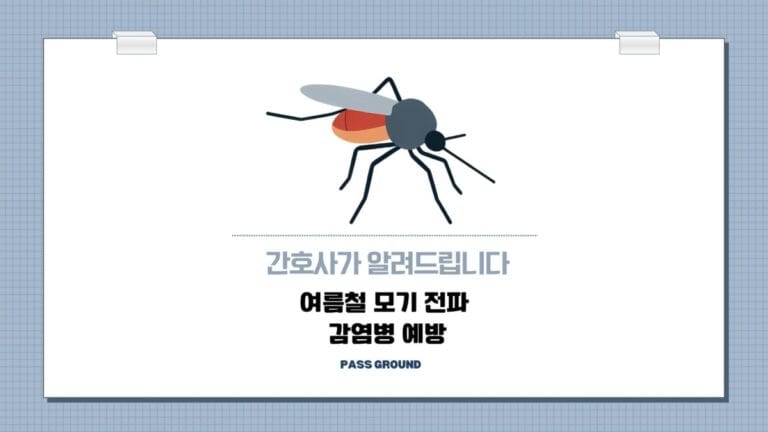 여름철 모기로 전파되는 감염병, 꼭 알아야 할 예방법